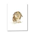 Picture of Shy Bunnies _GroupedProduct_Rectangle_Portrait_Mini_ _GroupedProduct_Rectangle_Portrait_Canvas_