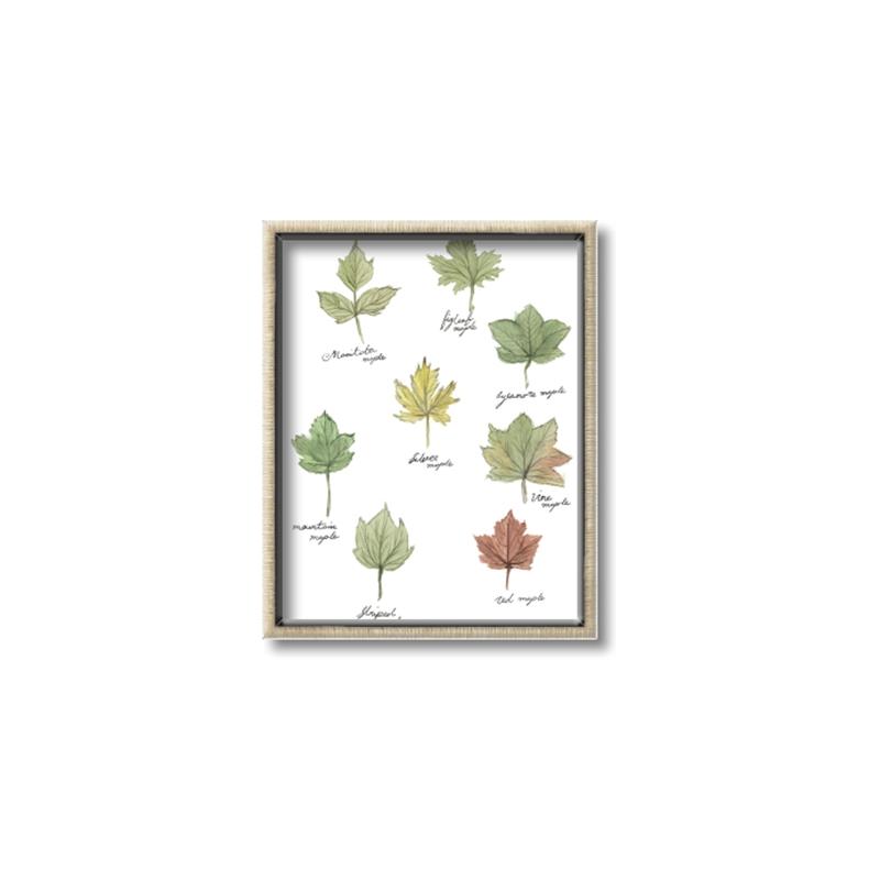 Picture of Leaves Chart _GroupedProduct_Rectangle_Portrait_Mini_ _GroupedProduct_Rectangle_Portrait_Canvas_Framed_