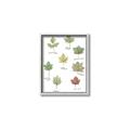 Picture of Leaves Chart _GroupedProduct_Rectangle_Portrait_Mini_ _GroupedProduct_Rectangle_Portrait_Canvas_Framed_