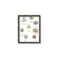 Picture of Leaves Chart _GroupedProduct_Rectangle_Portrait_Mini_ _GroupedProduct_Rectangle_Portrait_Canvas_Framed_