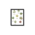 Picture of Leaves Chart _GroupedProduct_Rectangle_Portrait_Mini_ _GroupedProduct_Rectangle_Portrait_Canvas_Framed_