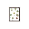 Picture of Leaves Chart _GroupedProduct_Rectangle_Portrait_Mini_ _GroupedProduct_Rectangle_Portrait_Canvas_Framed_