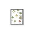 Picture of Leaves Chart _GroupedProduct_Rectangle_Portrait_Mini_ _GroupedProduct_Rectangle_Portrait_Canvas_Framed_