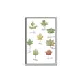 Picture of Leaves Chart _GroupedProduct_Rectangle_Portrait_Mini_ _GroupedProduct_Rectangle_Portrait_Canvas_Framed_