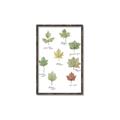 Picture of Leaves Chart _GroupedProduct_Rectangle_Portrait_Mini_ _GroupedProduct_Rectangle_Portrait_Canvas_Framed_