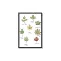 Picture of Leaves Chart _GroupedProduct_Rectangle_Portrait_Mini_ _GroupedProduct_Rectangle_Portrait_Canvas_Framed_