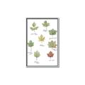 Picture of Leaves Chart _GroupedProduct_Rectangle_Portrait_Mini_ _GroupedProduct_Rectangle_Portrait_Canvas_Framed_