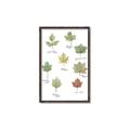 Picture of Leaves Chart _GroupedProduct_Rectangle_Portrait_Mini_ _GroupedProduct_Rectangle_Portrait_Canvas_Framed_