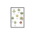 Picture of Leaves Chart _GroupedProduct_Rectangle_Portrait_Mini_ _GroupedProduct_Rectangle_Portrait_Canvas_Framed_