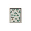 Picture of Trees Chart _GroupedProduct_Rectangle_Portrait_Mini_ _GroupedProduct_Rectangle_Portrait_Canvas_Framed_