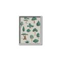 Picture of Trees Chart _GroupedProduct_Rectangle_Portrait_Mini_ _GroupedProduct_Rectangle_Portrait_Canvas_Framed_