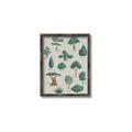Picture of Trees Chart _GroupedProduct_Rectangle_Portrait_Mini_ _GroupedProduct_Rectangle_Portrait_Canvas_Framed_