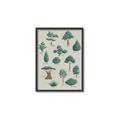 Picture of Trees Chart _GroupedProduct_Rectangle_Portrait_Mini_ _GroupedProduct_Rectangle_Portrait_Canvas_Framed_
