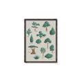 Picture of Trees Chart _GroupedProduct_Rectangle_Portrait_Mini_ _GroupedProduct_Rectangle_Portrait_Canvas_Framed_
