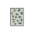 Picture of Trees Chart _GroupedProduct_Rectangle_Portrait_Mini_ _GroupedProduct_Rectangle_Portrait_Canvas_Framed_