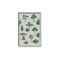 Picture of Trees Chart _GroupedProduct_Rectangle_Portrait_Mini_ _GroupedProduct_Rectangle_Portrait_Canvas_Framed_