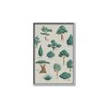 Picture of Trees Chart _GroupedProduct_Rectangle_Portrait_Mini_ _GroupedProduct_Rectangle_Portrait_Canvas_Framed_