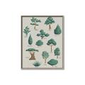 Picture of Trees Chart _GroupedProduct_Rectangle_Portrait_Mini_ _GroupedProduct_Rectangle_Portrait_Canvas_Framed_