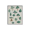 Picture of Trees Chart _GroupedProduct_Rectangle_Portrait_Mini_ _GroupedProduct_Rectangle_Portrait_Canvas_Framed_