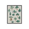 Picture of Trees Chart _GroupedProduct_Rectangle_Portrait_Mini_ _GroupedProduct_Rectangle_Portrait_Canvas_Framed_