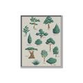 Picture of Trees Chart _GroupedProduct_Rectangle_Portrait_Mini_ _GroupedProduct_Rectangle_Portrait_Canvas_Framed_