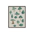 Picture of Trees Chart _GroupedProduct_Rectangle_Portrait_Mini_ _GroupedProduct_Rectangle_Portrait_Canvas_Framed_