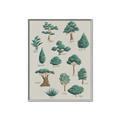 Picture of Trees Chart _GroupedProduct_Rectangle_Portrait_Mini_ _GroupedProduct_Rectangle_Portrait_Canvas_Framed_