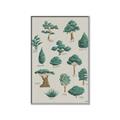 Picture of Trees Chart _GroupedProduct_Rectangle_Portrait_Mini_ _GroupedProduct_Rectangle_Portrait_Canvas_Framed_