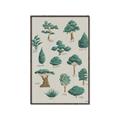 Picture of Trees Chart _GroupedProduct_Rectangle_Portrait_Mini_ _GroupedProduct_Rectangle_Portrait_Canvas_Framed_