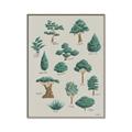 Picture of Trees Chart _GroupedProduct_Rectangle_Portrait_Mini_ _GroupedProduct_Rectangle_Portrait_Canvas_Framed_