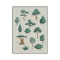 Picture of Trees Chart _GroupedProduct_Rectangle_Portrait_Mini_ _GroupedProduct_Rectangle_Portrait_Canvas_Framed_