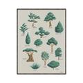 Picture of Trees Chart _GroupedProduct_Rectangle_Portrait_Mini_ _GroupedProduct_Rectangle_Portrait_Canvas_Framed_