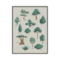 Picture of Trees Chart _GroupedProduct_Rectangle_Portrait_Mini_ _GroupedProduct_Rectangle_Portrait_Canvas_Framed_