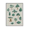 Picture of Trees Chart _GroupedProduct_Rectangle_Portrait_Mini_ _GroupedProduct_Rectangle_Portrait_Canvas_Framed_