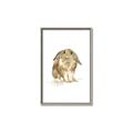 Picture of Shy Bunnies _GroupedProduct_Rectangle_Portrait_Mini_ _GroupedProduct_Rectangle_Portrait_Canvas_Framed_