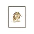 Picture of Shy Bunnies _GroupedProduct_Rectangle_Portrait_Mini_ _GroupedProduct_Rectangle_Portrait_Canvas_Framed_