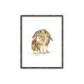 Picture of Shy Bunnies _GroupedProduct_Rectangle_Portrait_Mini_ _GroupedProduct_Rectangle_Portrait_Canvas_Framed_