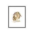 Picture of Shy Bunnies _GroupedProduct_Rectangle_Portrait_Mini_ _GroupedProduct_Rectangle_Portrait_Canvas_Framed_