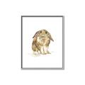 Picture of Shy Bunnies _GroupedProduct_Rectangle_Portrait_Mini_ _GroupedProduct_Rectangle_Portrait_Canvas_Framed_