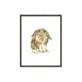 Picture of Shy Bunnies _GroupedProduct_Rectangle_Portrait_Mini_ _GroupedProduct_Rectangle_Portrait_Canvas_Framed_
