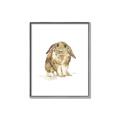 Picture of Shy Bunnies _GroupedProduct_Rectangle_Portrait_Mini_ _GroupedProduct_Rectangle_Portrait_Canvas_Framed_