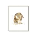 Picture of Shy Bunnies _GroupedProduct_Rectangle_Portrait_Mini_ _GroupedProduct_Rectangle_Portrait_Canvas_Framed_