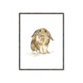Picture of Shy Bunnies _GroupedProduct_Rectangle_Portrait_Mini_ _GroupedProduct_Rectangle_Portrait_Canvas_Framed_