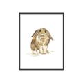 Picture of Shy Bunnies _GroupedProduct_Rectangle_Portrait_Mini_ _GroupedProduct_Rectangle_Portrait_Canvas_Framed_
