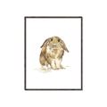 Picture of Shy Bunnies _GroupedProduct_Rectangle_Portrait_Mini_ _GroupedProduct_Rectangle_Portrait_Canvas_Framed_