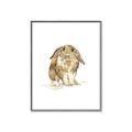Picture of Shy Bunnies _GroupedProduct_Rectangle_Portrait_Mini_ _GroupedProduct_Rectangle_Portrait_Canvas_Framed_