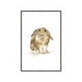 Picture of Shy Bunnies _GroupedProduct_Rectangle_Portrait_Mini_ _GroupedProduct_Rectangle_Portrait_Canvas_Framed_