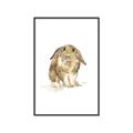 Picture of Shy Bunnies _GroupedProduct_Rectangle_Portrait_Mini_ _GroupedProduct_Rectangle_Portrait_Canvas_Framed_