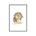 Picture of Shy Bunnies _GroupedProduct_Rectangle_Portrait_Mini_ _GroupedProduct_Rectangle_Portrait_Canvas_Framed_