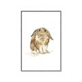 Picture of Shy Bunnies _GroupedProduct_Rectangle_Portrait_Mini_ _GroupedProduct_Rectangle_Portrait_Canvas_Framed_